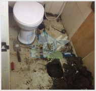 Bật mí cách xử lý nhà vệ sinh bị tắc nhanh nhất